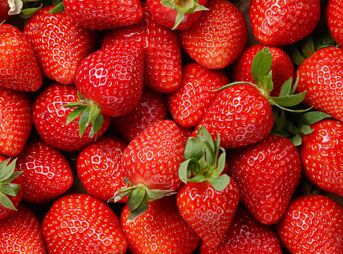 Le fruit du mois : La fraise